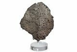 Ankylosaur (Zuul) Osteoderm with Stand - Judith River Formation #382538-1
